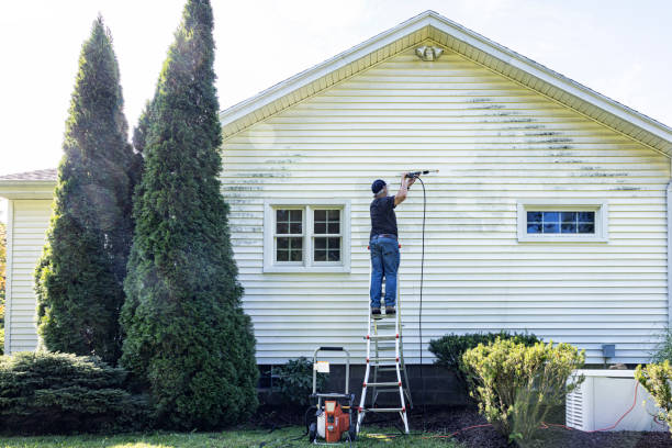 Best Driveway Pressure Washing  in Norwood, NY