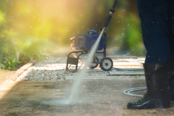 Best Animal Enclosure Cleaning  in Norwood, NY